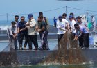 Presiden Prabowo Panen Raya Udang di Kebumen, Dandim 0709 Kawal Ketat Agenda Strategis Nasional